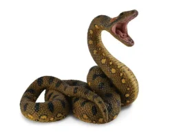 Green Anaconda