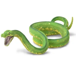 Green Tree Python