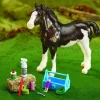 Grooming Kit