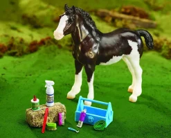 Grooming Kit