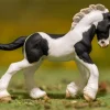 Gypsy Vanner Foal | Black & White Piebald