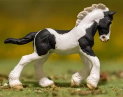 Gypsy Vanner Foal | Black & White Piebald