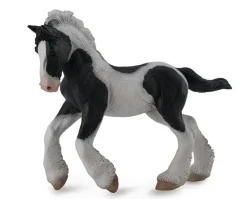 Gypsy Vanner Foal | Black & White Piebald