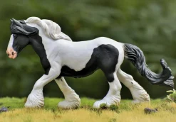 Gypsy Vanner Mare | Black & White Piebald