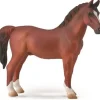Hackney Stallion | Chestnut