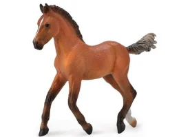 Hanoverian Foal | Bay