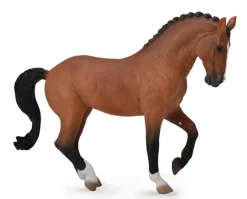 Hanoverian Mare | Bay