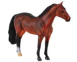 Hanoverian Stallion | Bay
