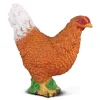 Hen