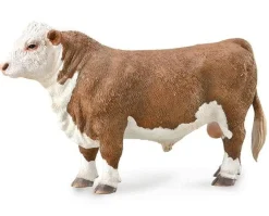 Hereford Bull