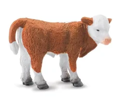 Hereford Calf - Standing