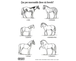 H is for Horse | Coloring & Activity Book