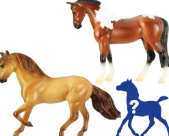 Horse Foal Surprise | Radiant Hills Family