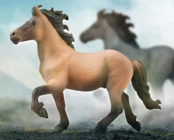 Icelandic Stallion | Dun
