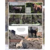 Just About Horses 2021