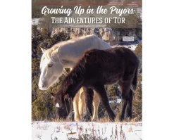 Just About Horses 2021