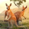 Kangaroo with Joey