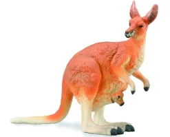 Kangaroo with Joey