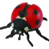 Ladybug