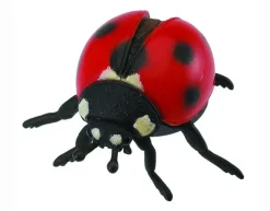 Ladybug