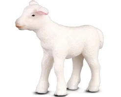 Lamb