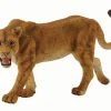 Lioness