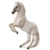 Lipizzaner Stallion