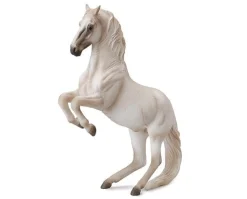 Lipizzaner Stallion