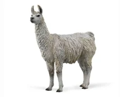 Llama