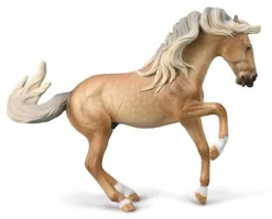 Lusitano Stallion | Sooty Palomino