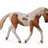 Mare | Palomino Pinto