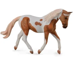 Mare | Palomino Pinto