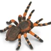 Mexican Redknee Tarantula