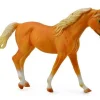 Missouri Fox Trotter Mare | Palomino