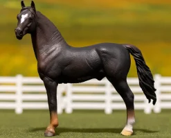 Morgan Stallion | Chestnut