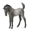 Mustang Foal | Grulla