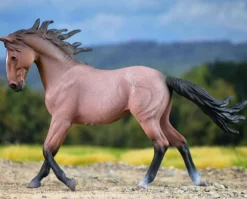 Mustang Mare | Bay Roan