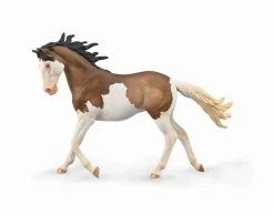 Mustang Mare | Bay Splash Overo