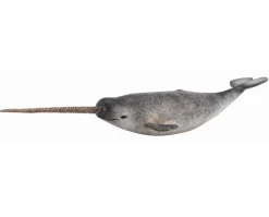 Narwhal