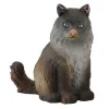 Norwegian Forest Cat
