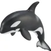 Orca Calf