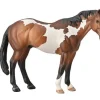 Paint Horse | Bay Overo