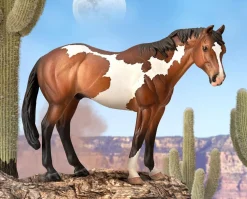 Paint Horse | Bay Overo