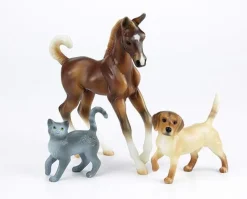 Pet Groomer