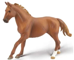 Phar Lap, Thoroughbred Racehorse | Chestnut