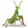 Praying Mantis