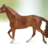 Quarter Horse