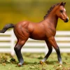 Quarter Horse Foal | Bay