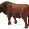 Red Angus Bull