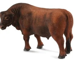 Red Angus Bull